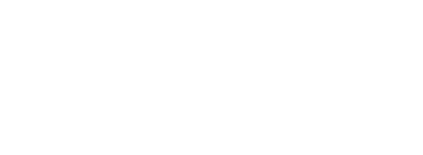 2i2 International Institute for Social Stability
